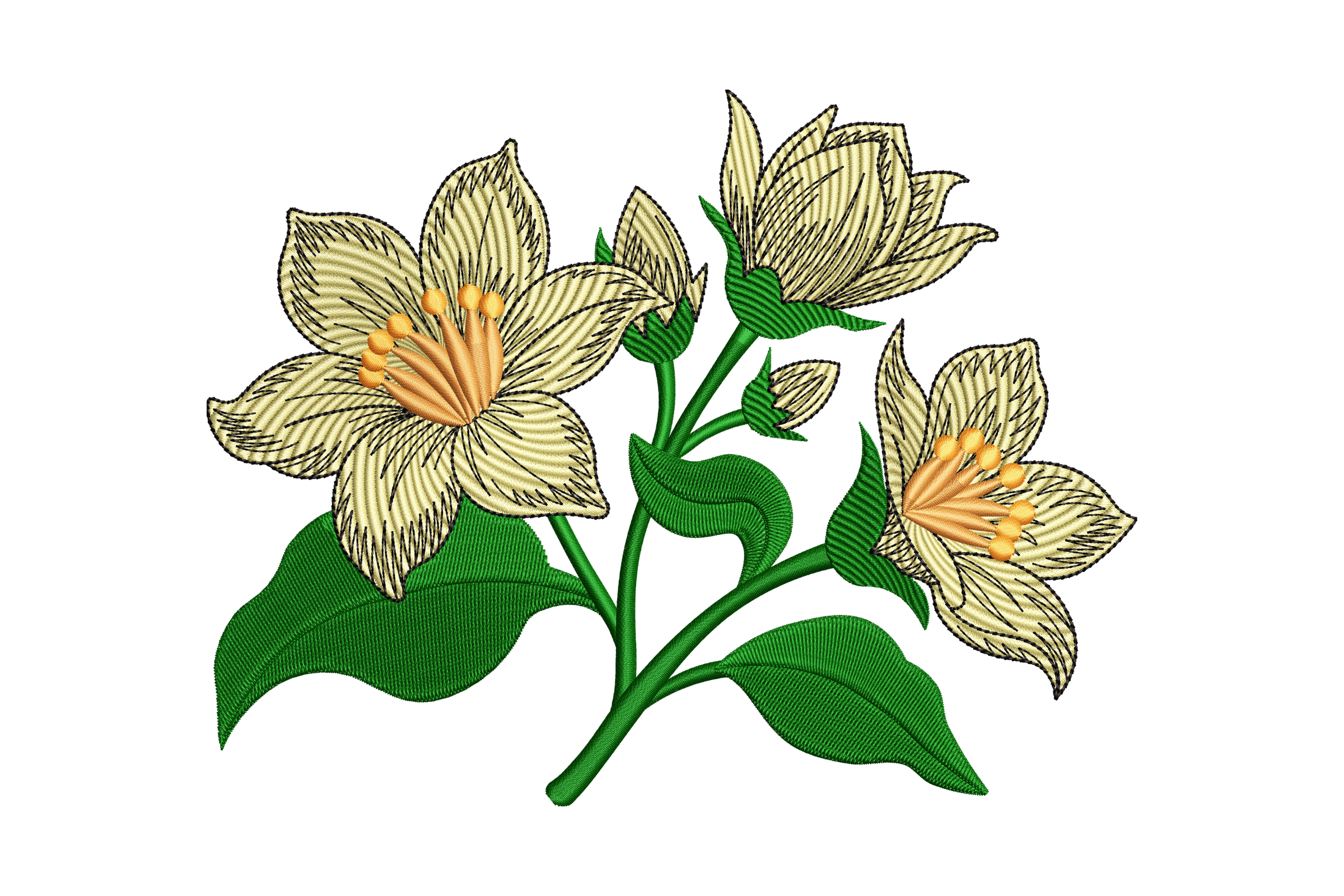 Cream Jasmine Flower Botanical Machine Embroidery Design